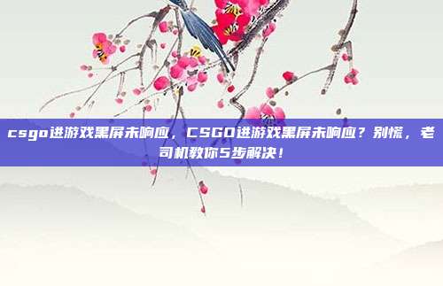 csgo进游戏黑屏未响应，CSGO进游戏黑屏未响应？别慌，老司机教你5步解决！