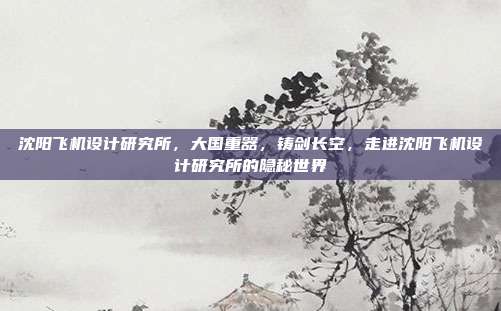 沈阳飞机设计研究所，大国重器，铸剑长空，走进沈阳飞机设计研究所的隐秘世界