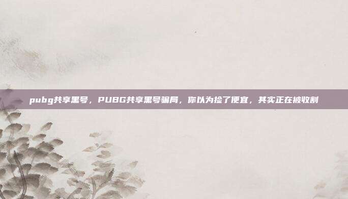 pubg共享黑号，PUBG共享黑号骗局，你以为捡了便宜，其实正在被收割