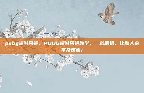 pubg端游闪镜，PUBG端游闪镜教学，一秒瞬狙，让敌人来不及反应！