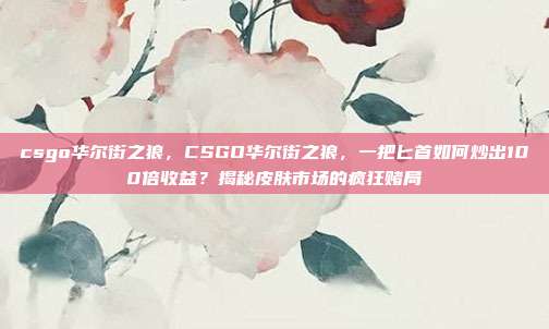 csgo华尔街之狼，CSGO华尔街之狼，一把匕首如何炒出100倍收益？揭秘皮肤市场的疯狂赌局