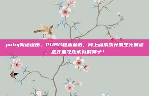 pubg极速追击,PUBG极速追击,肾上腺素飙升的生死时速,这才是吃鸡该有的样子!