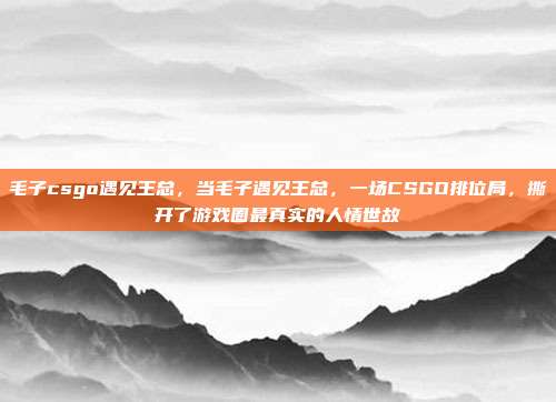 毛子csgo遇见王总，当毛子遇见王总，一场CSGO排位局，撕开了游戏圈最真实的人情世故