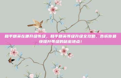 和平精英在哪升级等级，和平精英等级升级全攻略，告诉你最快提升等级的秘密地点！