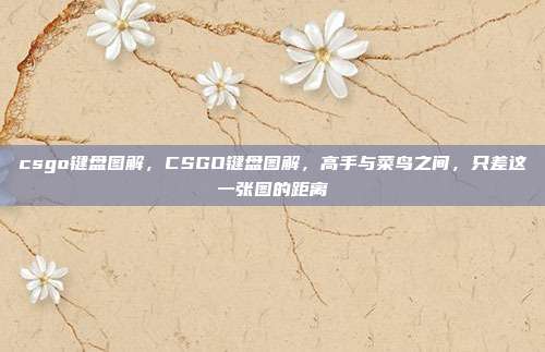 csgo键盘图解，CSGO键盘图解，高手与菜鸟之间，只差这一张图的距离