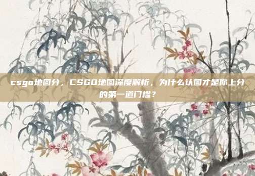 csgo地图分，CSGO地图深度解析，为什么认图才是你上分的第一道门槛？