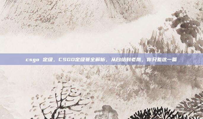 csgo 定级,CSGO定级赛全解析,从白给到老鹰,你只差这一篇