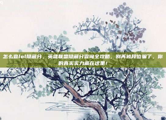 怎么查lol隐藏分，英雄联盟隐藏分查询全攻略，别再被段位骗了，你的真实实力藏在这里！