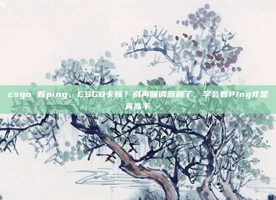 csgo 看ping，CSGO卡顿？别再瞎调画质了，学会看Ping才是真高手