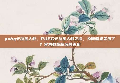 pubg卡拉金人数，PUBG卡拉金人数之谜，为何感觉变少了？官方数据背后的真相