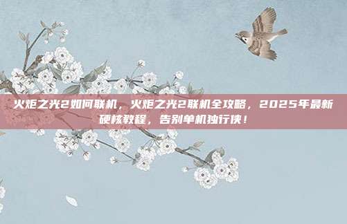 火炬之光2如何联机，火炬之光2联机全攻略，2025年最新硬核教程，告别单机独行侠！