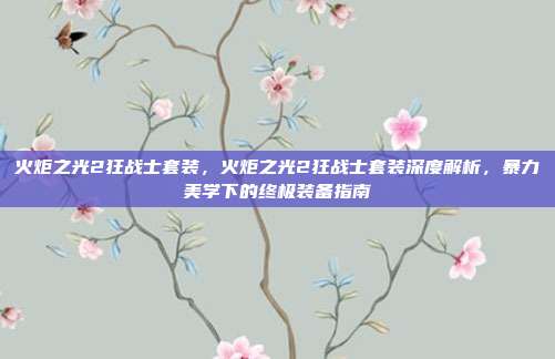 火炬之光2狂战士套装，火炬之光2狂战士套装深度解析，暴力美学下的终极装备指南