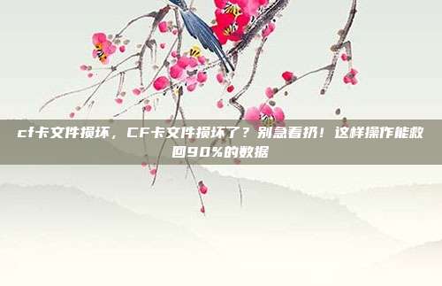 cf卡文件损坏，CF卡文件损坏了？别急着扔！这样操作能救回90%的数据