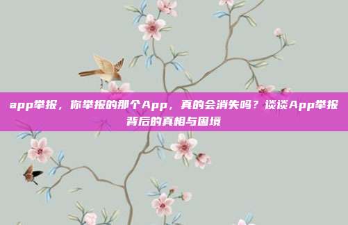 app举报,你举报的那个App,真的会消失吗?谈谈App举报背后的真相与困境
