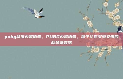 pubg队伍内置语音，PUBG内置语音，那个让你又爱又恨的战场噪音器