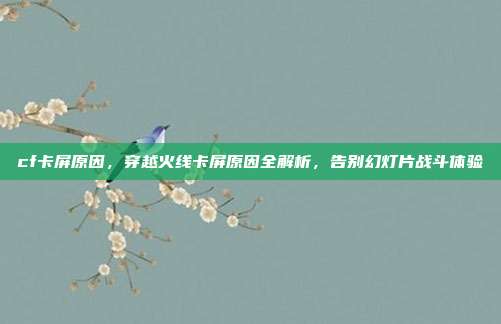 cf卡屏原因，穿越火线卡屏原因全解析，告别幻灯片战斗体验