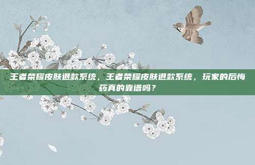 王者荣耀皮肤退款系统，王者荣耀皮肤退款系统，玩家的后悔药真的靠谱吗？