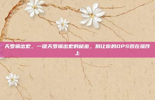 天罗输出宏,一键天罗输出宏的秘密,别让你的DPS毁在操作上