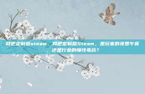 网吧定制版steam，网吧定制版Steam，是玩家的免费午餐，还是行业的慢性毒药？
