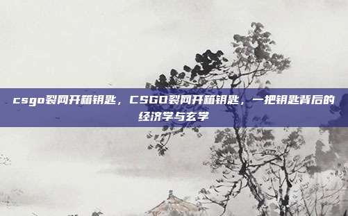 csgo裂网开箱钥匙,CSGO裂网开箱钥匙,一把钥匙背后的经济学与玄学