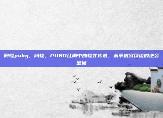 阿怪pubg，阿怪，PUBG江湖中的怪才传说，从草根到顶流的逆袭密码