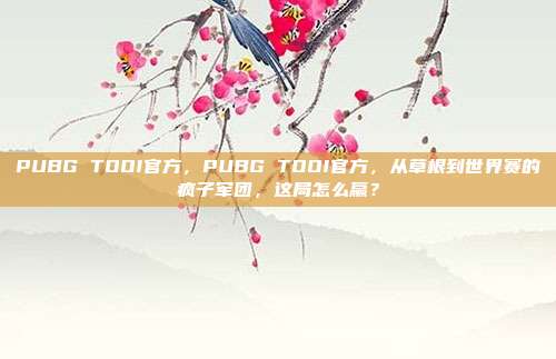 PUBG TOOI官方，PUBG TOOI官方，从草根到世界赛的疯子军团，这局怎么赢？