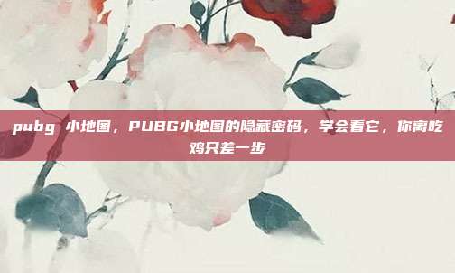 pubg 小地图，PUBG小地图的隐藏密码，学会看它，你离吃鸡只差一步