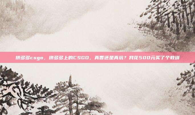 拼多多csgo，拼多多上的CSGO，真香还是真坑？我花500元买了个教训