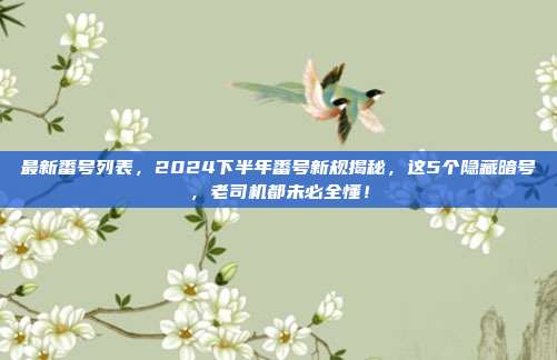 最新番号列表，2024下半年番号新规揭秘，这5个隐藏暗号，老司机都未必全懂！