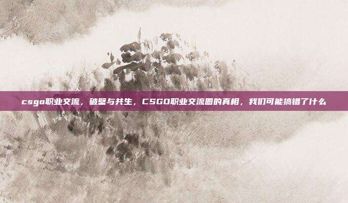 csgo职业交流，破壁与共生，CSGO职业交流圈的真相，我们可能搞错了什么