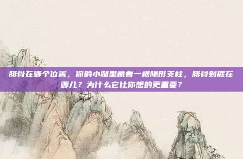 腓骨在哪个位置，你的小腿里藏着一根隐形支柱，腓骨到底在哪儿？为什么它比你想的更重要？