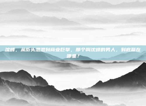 沈峰，从街头混混到商业巨擘，那个叫沈峰的男人，到底赢在哪里？
