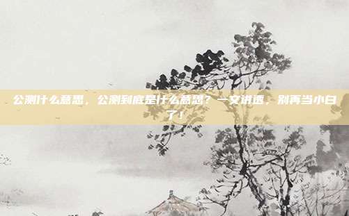 公测什么意思,公测到底是什么意思?一文讲透,别再当小白了!