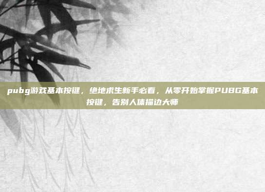 pubg游戏基本按键,绝地求生新手必看,从零开始掌握PUBG基本按键,告别人体描边大师