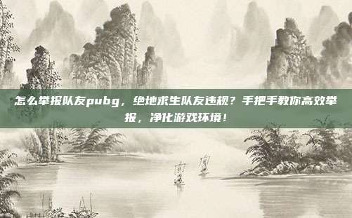 怎么举报队友pubg，绝地求生队友违规？手把手教你高效举报，净化游戏环境！