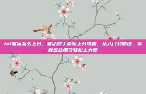 lol寒冰怎么上分，寒冰射手最新上分攻略，从入门到精通，掌握这些细节轻松上大师