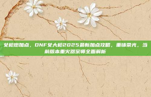 女枪炮加点，DNF女大枪2025最新加点攻略，重铸荣光，当前版本重火器宗师全面解析