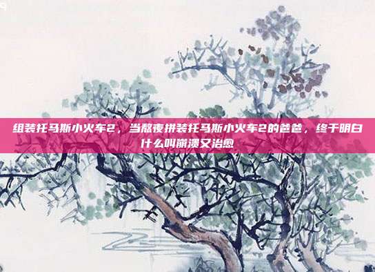 组装托马斯小火车2，当熬夜拼装托马斯小火车2的爸爸，终于明白什么叫崩溃又治愈