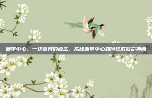 器审中心，一块墓碑的诞生，揭秘器审中心如何炼成救命神器