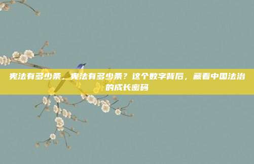 宪法有多少条,宪法有多少条?这个数字背后,藏着中国法治的成长密码