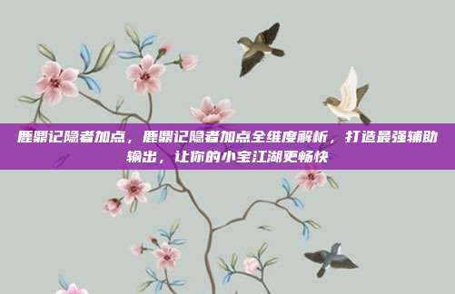 鹿鼎记隐者加点，鹿鼎记隐者加点全维度解析，打造最强辅助输出，让你的小宝江湖更畅快