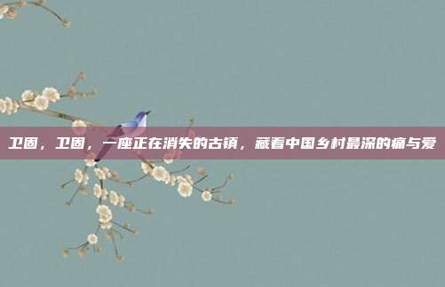 卫固，卫固，一座正在消失的古镇，藏着中国乡村最深的痛与爱