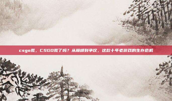 csgo荒,CSGO荒了吗?从巅峰到争议,这款十年老游戏的生存危机