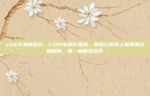 cod16集锦超长,COD16超长集锦,那些让你肾上腺素飙升的瞬间,每一帧都是信仰