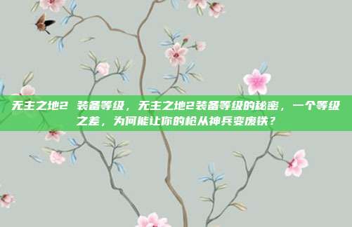 无主之地2 装备等级,无主之地2装备等级的秘密,一个等级之差,为何能让你的枪从神兵变废铁?