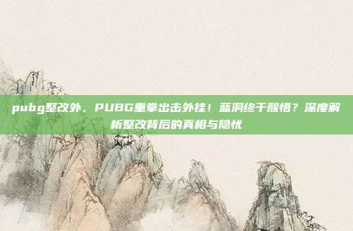 pubg整改外,PUBG重拳出击外挂!蓝洞终于醒悟?深度解析整改背后的真相与隐忧