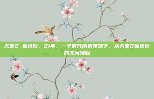 天堂2 透视镜,21年,一个时代的幕布落下,从天堂2透视镜的关闭聊起