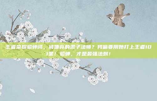 王者荣耀貂蝉词，被唾弃的混子法师？我偏要用她打上王者101星！貂蝉，才是最强法刺！