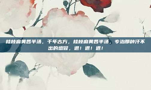 桂枝麻黄各半汤，千年古方，桂枝麻黄各半汤，专治那种汗不出的感冒，退！退！退！