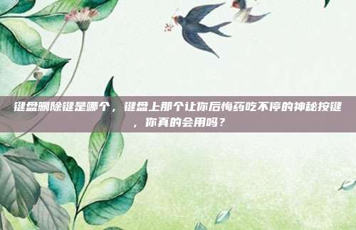 键盘删除键是哪个，键盘上那个让你后悔药吃不停的神秘按键，你真的会用吗？